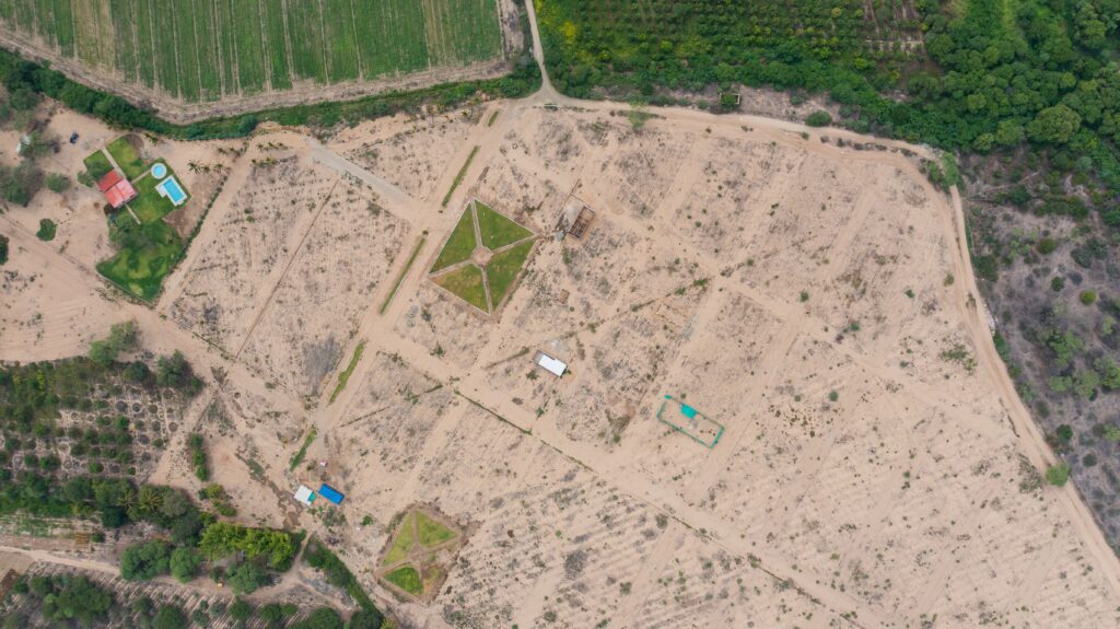 Las Palmeras de Motupe