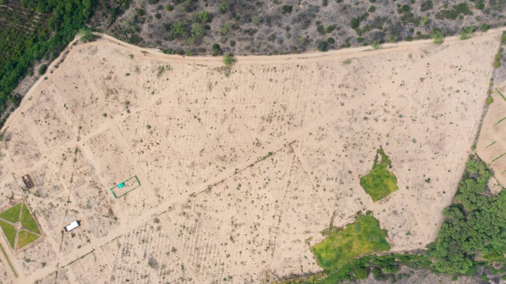 Las Palmeras de Motupe